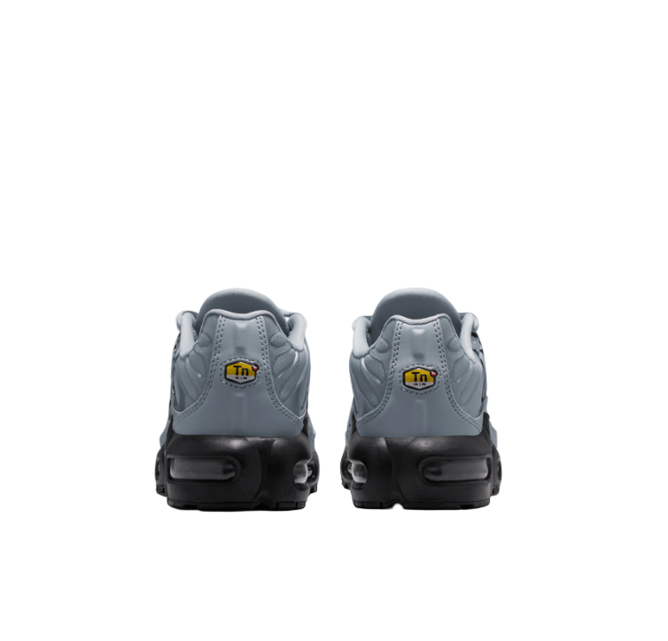 Nike Air Max TN Tuned Grey