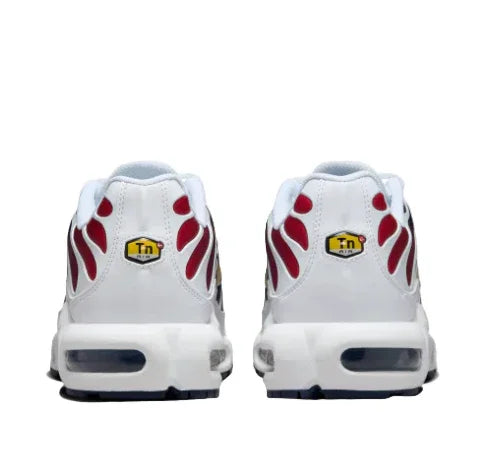 Nike Air Max TN Psg